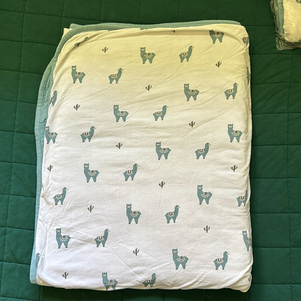 Kyte baby toddler blanket